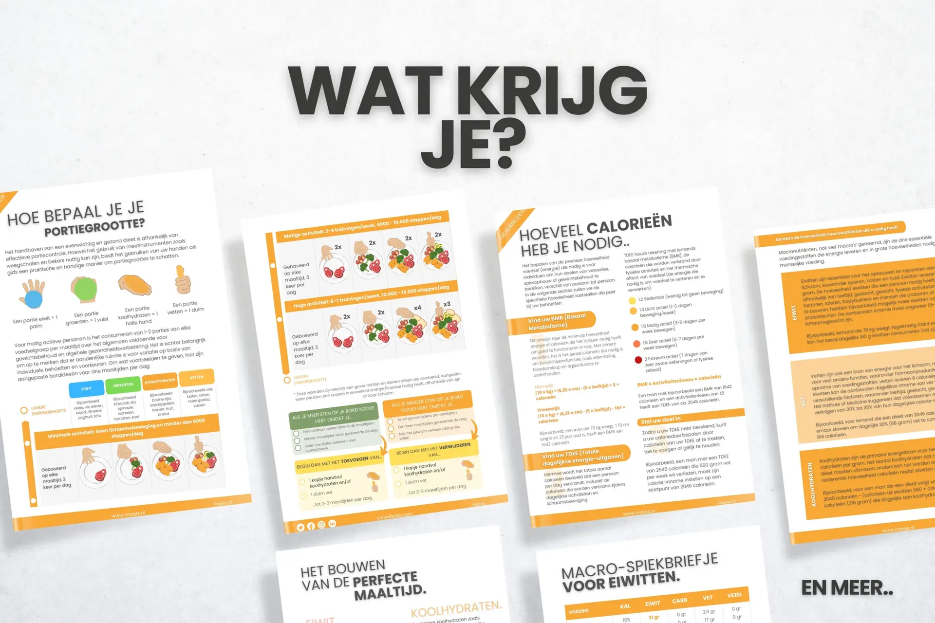 Introductie tot Gezonde Voeding Introductie tot Gezonde Voeding