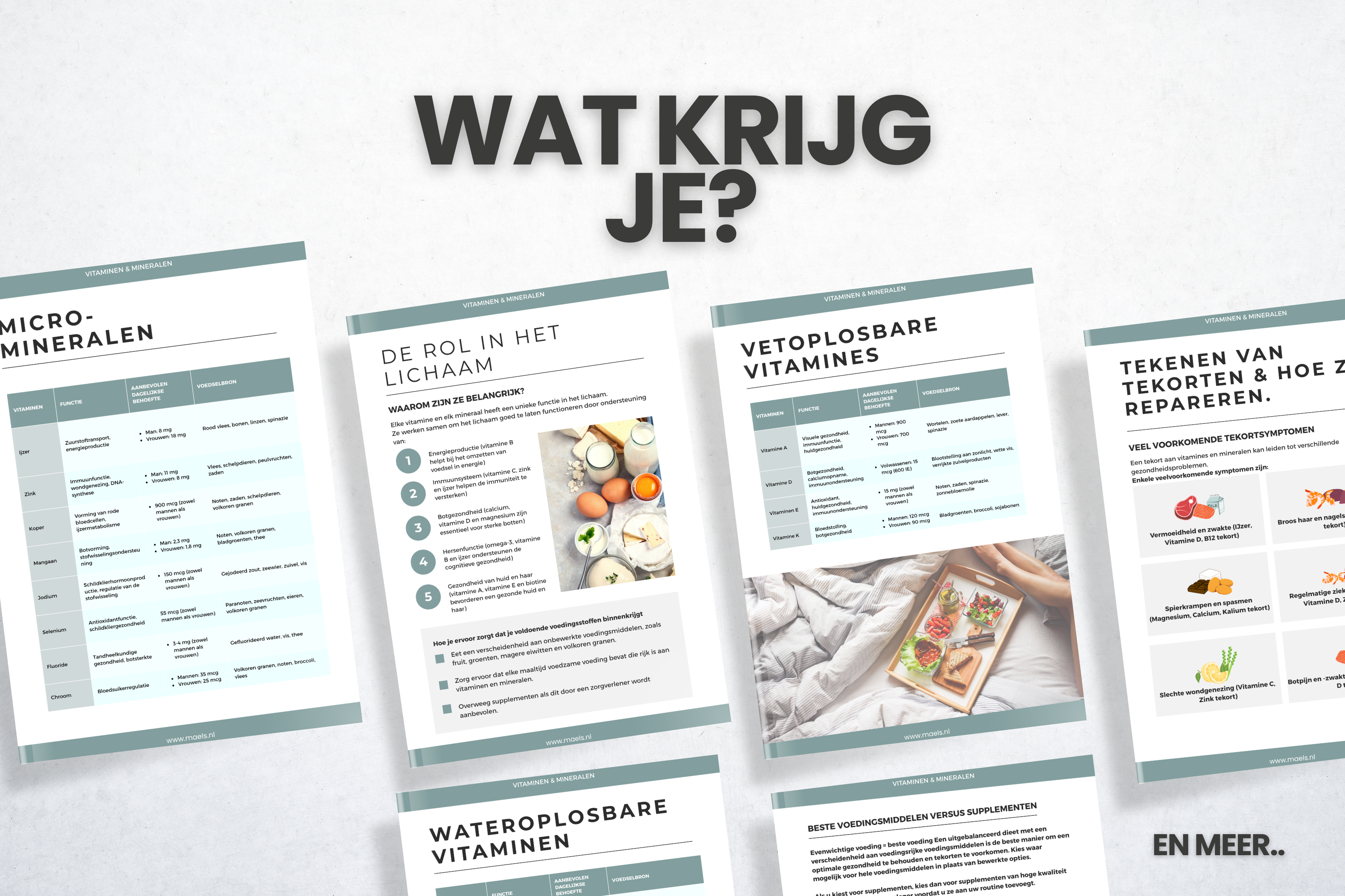 Vitaminen & Mineralen Gids (Gratis e-book, NL)